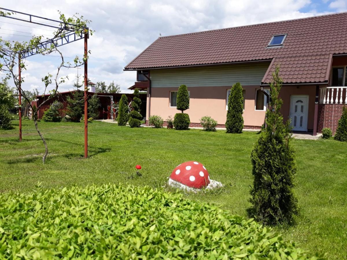 Casa Neagu Hotel Kovászna Kültér fotó